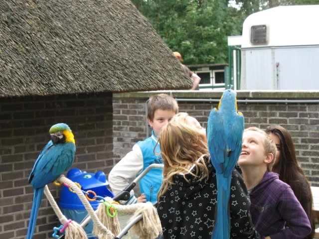 2011-09-11 Kralingsebos
